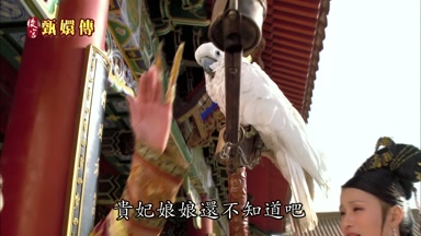 貴妃娘娘還不知道吧