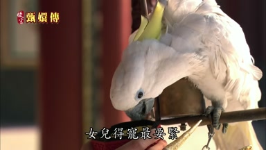 女兒得寵最要緊