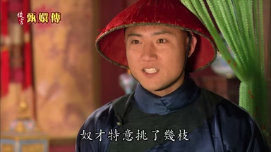 奴才特意挑了幾枝