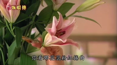 你看那花蕊粉紅捲曲