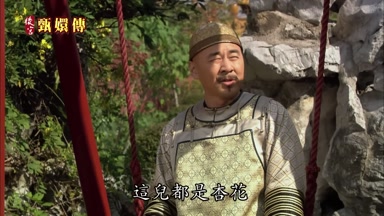 這兒都是杏花