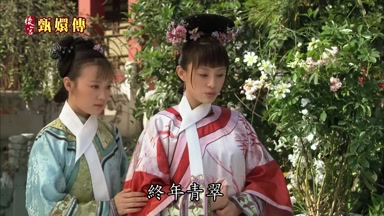 終年青翠