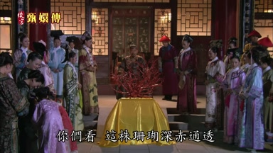 你們看這株珊瑚深赤通透