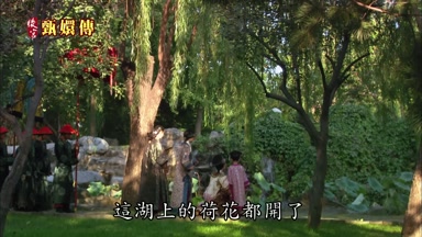 這湖上的荷花都開了