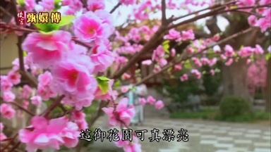 這御花園可真漂亮