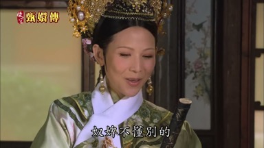 奴婢不懂別的